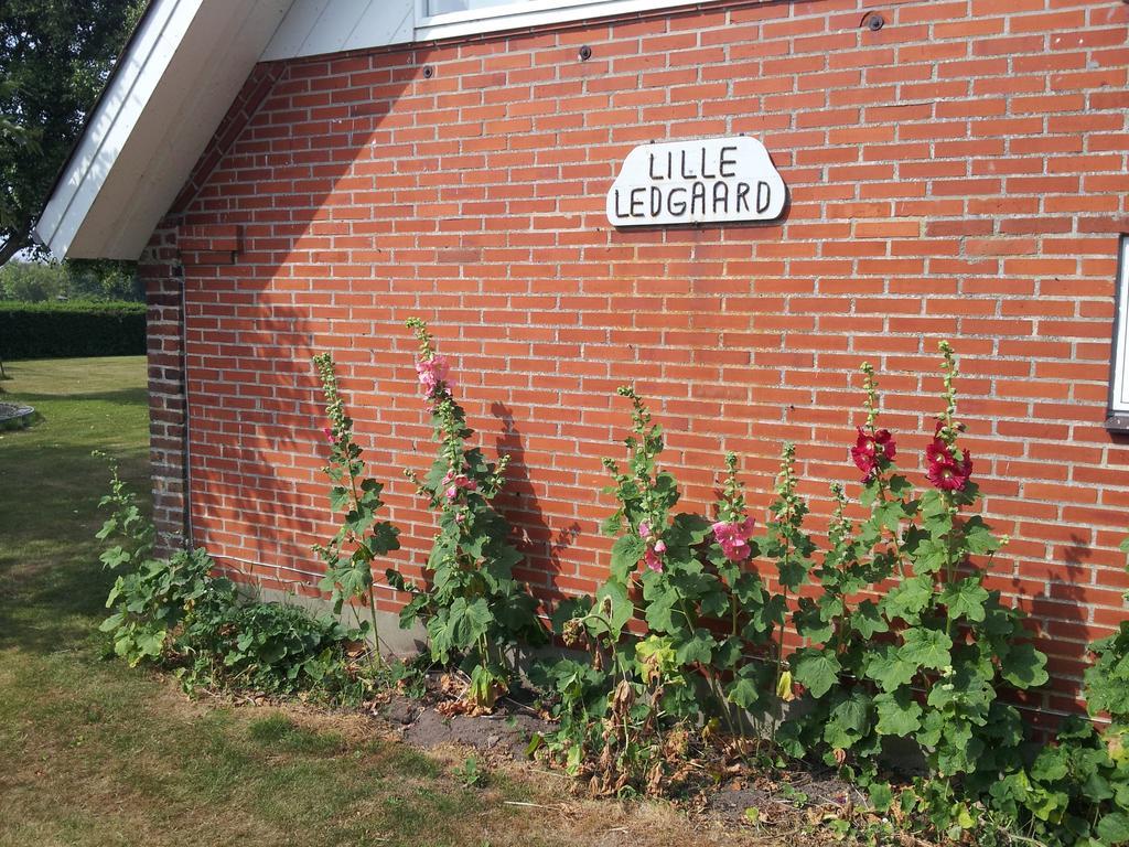 Lilleledgaard Apartment Ringkøbing Oda fotoğraf